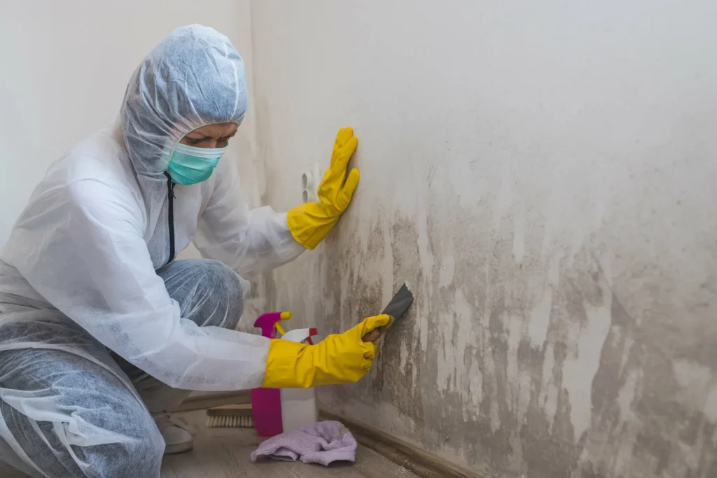 Inspect Walls and Mark Damaged Areas