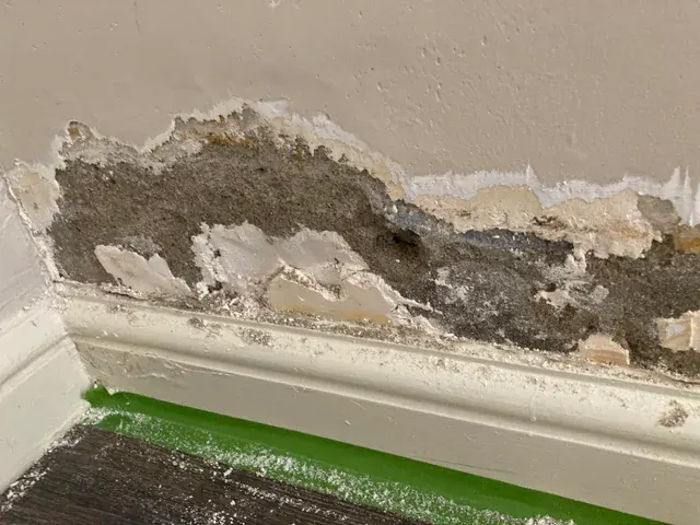 Repair Damage Before Adding Primer
